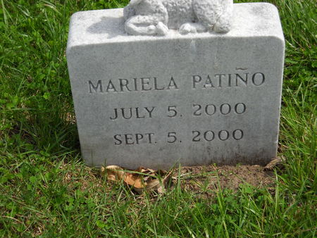 PATINO, MARIELA - Polk County, Iowa | MARIELA PATINO 