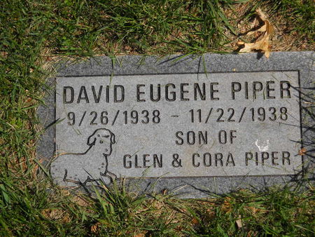 PIPER, DAVID EUGENE - Polk County, Iowa | DAVID EUGENE PIPER 