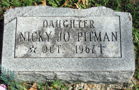 PITMAN, NICKY JO - Polk County, Iowa | NICKY JO PITMAN 