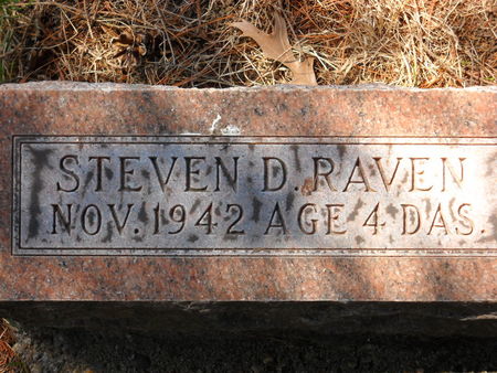 RAVEN, STEVEN D. - Polk County, Iowa | STEVEN D. RAVEN 