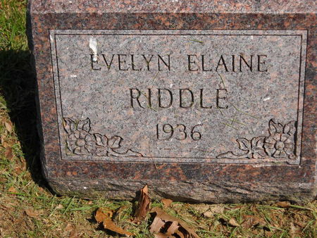 RIDDLE, EVELYN ELAINE - Polk County, Iowa | EVELYN ELAINE RIDDLE 