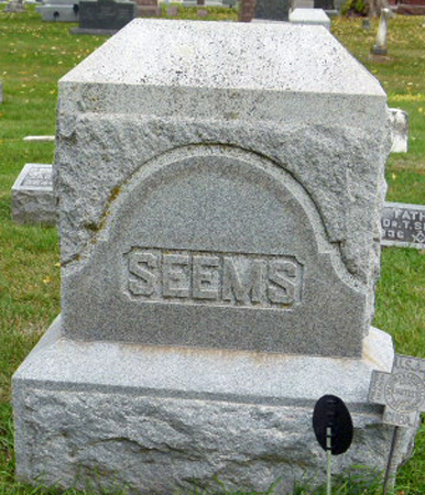 SEEMS, FAMILY STONE - Polk County, Iowa | FAMILY STONE SEEMS 