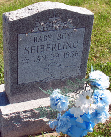 SEIBERLING, BABY BOY - Polk County, Iowa | BABY BOY SEIBERLING 