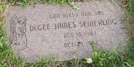 SEIBERLING, DEGEE JAMES - Polk County, Iowa | DEGEE JAMES SEIBERLING 