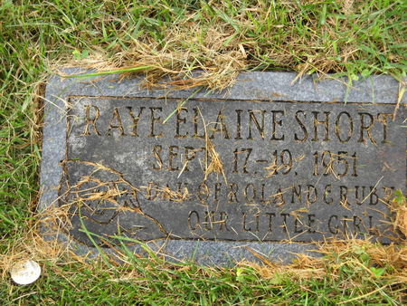 SHORT, RAYE ELAINE - Polk County, Iowa | RAYE ELAINE SHORT 