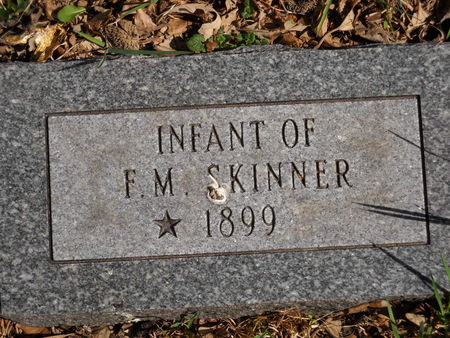SKINNER, INFANT OF F.M. - Polk County, Iowa | INFANT OF F.M. SKINNER 