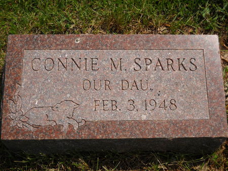 SPARKS, CONNIE M. - Polk County, Iowa | CONNIE M. SPARKS 
