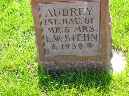 STEHN, AUDREY - Polk County, Iowa | AUDREY STEHN 