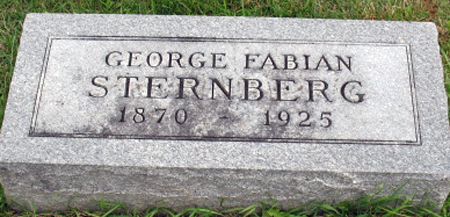 STERNBERG, GEORGE FABIAN - Polk County, Iowa | GEORGE FABIAN STERNBERG 