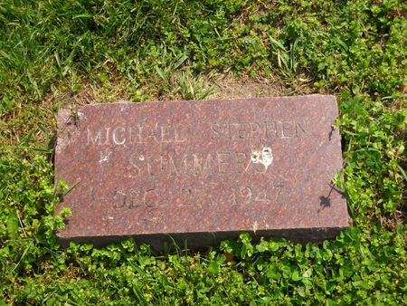 SUMMERS, MICHAEL STEPHEN - Polk County, Iowa | MICHAEL STEPHEN SUMMERS 