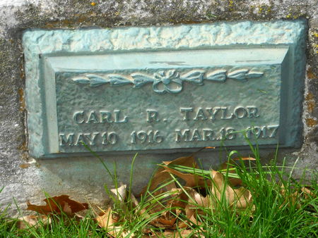 TAYLOR, CARL R. - Polk County, Iowa | CARL R. TAYLOR 