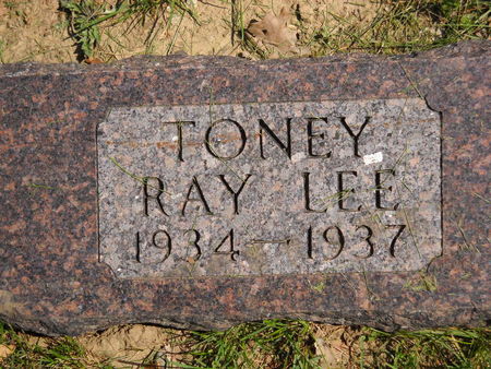 TONEY, RAY LEE - Polk County, Iowa | RAY LEE TONEY 