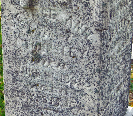 TOUNSLEY, GEORGE ANN - Polk County, Iowa | GEORGE ANN TOUNSLEY 