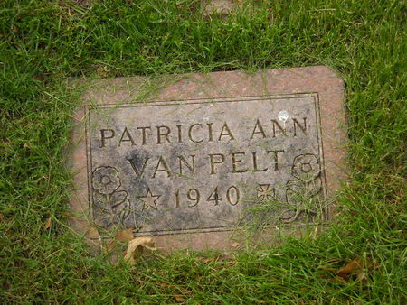 VAN PELT, PATRICIA ANN - Polk County, Iowa | PATRICIA ANN VAN PELT 