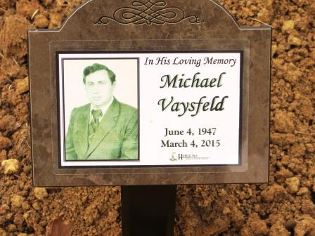 VAYSFELD, MICHAEL - Polk County, Iowa | MICHAEL VAYSFELD 