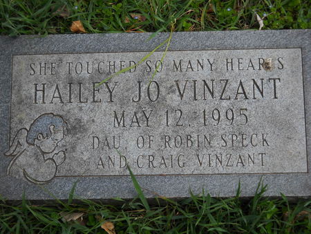 VINZANT, HAILEY JO - Polk County, Iowa | HAILEY JO VINZANT 