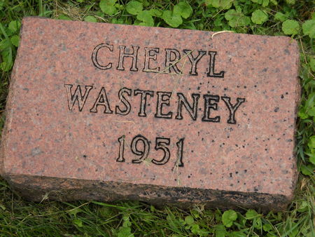 WASTENEY, CHERYL - Polk County, Iowa | CHERYL WASTENEY 
