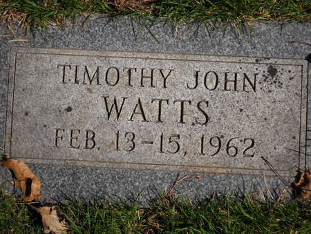 WATTS, TIMOTHY JOHN - Polk County, Iowa | TIMOTHY JOHN WATTS 