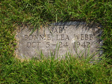 WEBB, BONNIE LEA - Polk County, Iowa | BONNIE LEA WEBB 