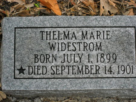WIDESTROM, THELMA MARIE - Polk County, Iowa | THELMA MARIE WIDESTROM 