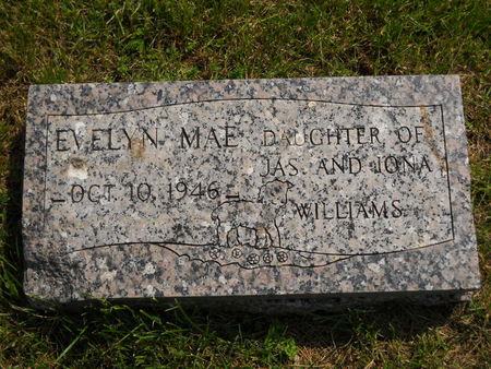 WILLIAMS, EVELYN MAE - Polk County, Iowa | EVELYN MAE WILLIAMS 
