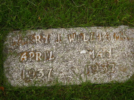 WILLIAMS, LARRY J. - Polk County, Iowa | LARRY J. WILLIAMS 