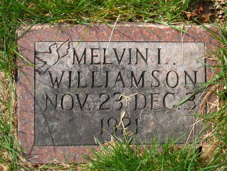 WILLIAMSON, MELVIN L. - Polk County, Iowa | MELVIN L. WILLIAMSON 