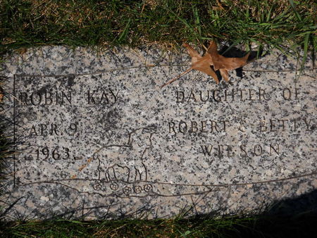 WILSON, ROBIN KAY - Polk County, Iowa | ROBIN KAY WILSON 