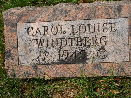 WINDTBERG, CAROL LOUISE - Polk County, Iowa | CAROL LOUISE WINDTBERG 