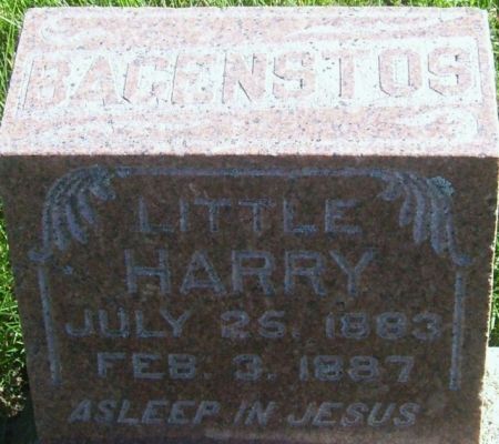 BAGENSTOS, HARRY - Poweshiek County, Iowa | HARRY BAGENSTOS 