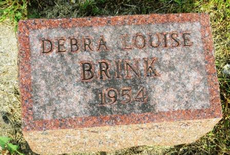 BRINK, DEBRA LOUISE - Poweshiek County, Iowa | DEBRA LOUISE BRINK 