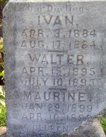 JONES, WALTER - Poweshiek County, Iowa | WALTER JONES 