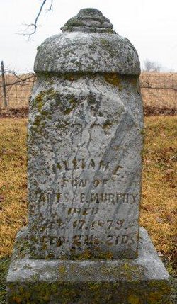 MURPHY, WILLIAM E. - Poweshiek County, Iowa | WILLIAM E. MURPHY 