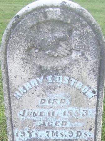 OSTROM, HARRY E - Poweshiek County, Iowa | HARRY E OSTROM 