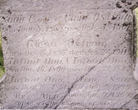 OSTROM, THREE INFANT DAUGHTERS - Poweshiek County, Iowa | THREE INFANT DAUGHTERS OSTROM 