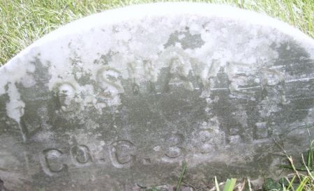 SHAVER, L(EVI) C. - Poweshiek County, Iowa | L(EVI) C. SHAVER 