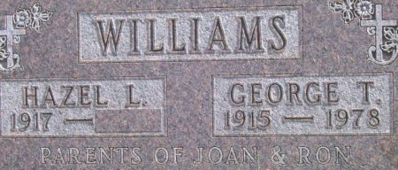WILLIAMS, GEORGE T. - Poweshiek County, Iowa | GEORGE T. WILLIAMS 