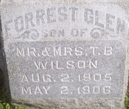 WILSON, FORREST GLENN - Poweshiek County, Iowa | FORREST GLENN WILSON 