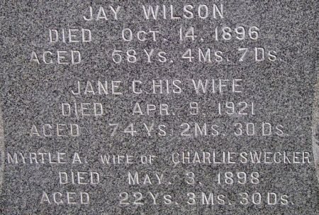 WILSON SWECKER, MYRTLE A. - Poweshiek County, Iowa | MYRTLE A. WILSON SWECKER 