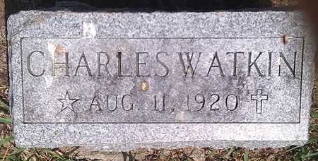 ATKIN, CHARLES W. - Ringgold County, Iowa | CHARLES W. ATKIN 