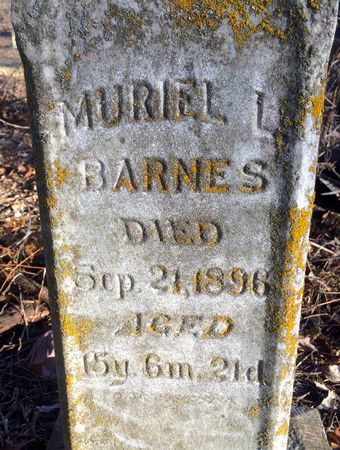 BARNES, MURIEL L. - Ringgold County, Iowa | MURIEL L. BARNES 