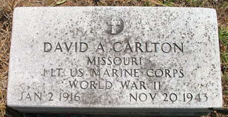 CARLTON, DAVID A. - Ringgold County, Iowa | DAVID A. CARLTON 