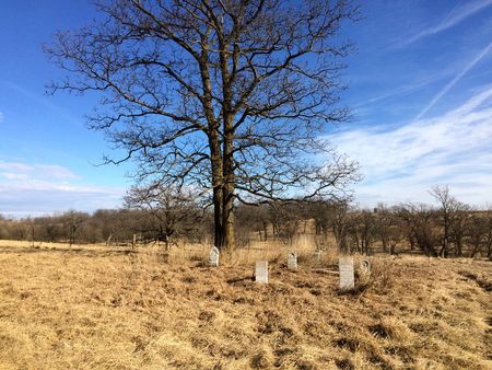 LEWIS, CEMETERY - Ringgold County, Iowa | CEMETERY LEWIS 