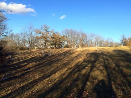 OAK RIDGE, CEMETERY - Ringgold County, Iowa | CEMETERY OAK RIDGE 