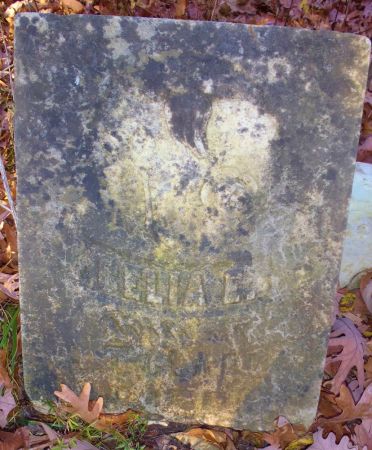 CLARK, CELIA E. - Ringgold County, Iowa | CELIA E. CLARK 