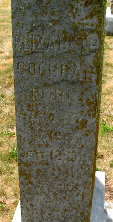COCHRAN, ELIZABETH (WALLACE) - Ringgold County, Iowa | ELIZABETH (WALLACE) COCHRAN 