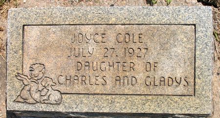 COLE, JOYCE - Ringgold County, Iowa | JOYCE COLE 