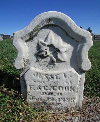 COOK, JESSE L. - Ringgold County, Iowa | JESSE L. COOK 