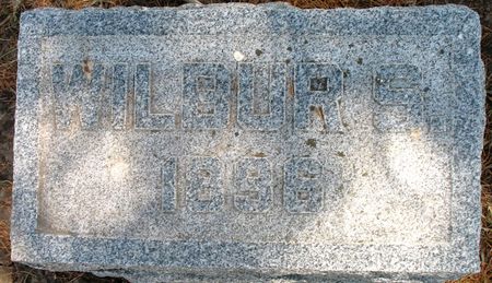 DARLINGTON, WILBUR S. - Ringgold County, Iowa | WILBUR S. DARLINGTON 