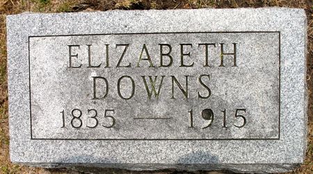 DOWNS, ELIZABETH (COOK) - Ringgold County, Iowa | ELIZABETH (COOK) DOWNS 